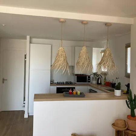 דירה T2 Super Cosy A La Cime Des Pins Proche Av De Gaulle Place De Parking Et Wifi La Baule