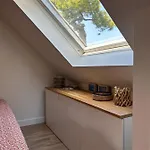 T2 Super Cosy A La Cime Des Pins Proche Av De Gaulle Place De Parking Et Wifi