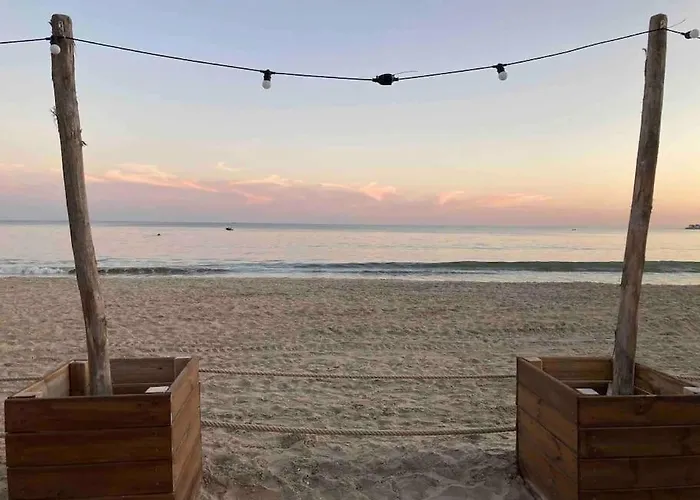 公寓 T2 Super Cosy A La Cime Des Pins Proche Av De Gaulle Place De Parking Et Wifi