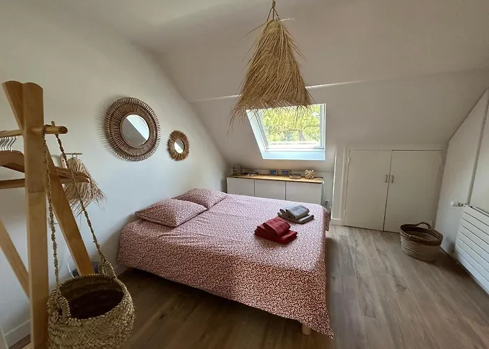 T2 Super Cosy A La Cime Des Pins Proche Av De Gaulle Place De Parking Et Wifi